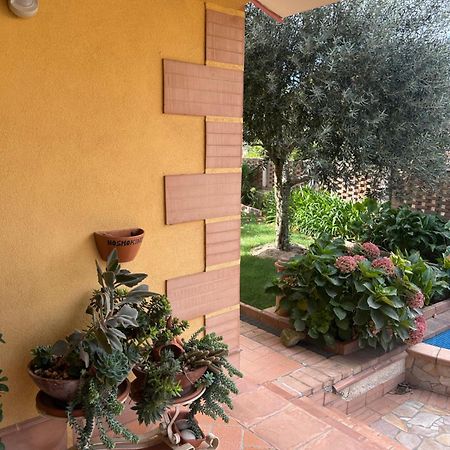 B&B Villa Maria Катандзаро Екстер'єр фото